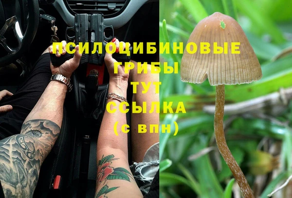 кристаллы Михайловка