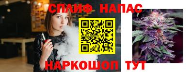 спайс Будённовск