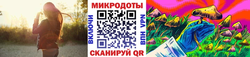 Псилоцибиновые грибы MAGIC MUSHROOMS  где продают наркотики  mega как зайти  Железногорск 