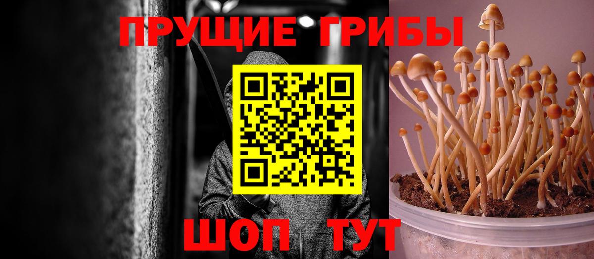 Железногорск  Псилоцибиновые грибы Magic Shrooms  Вход с VPN 